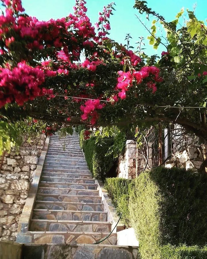 Villa Lori Qeparo Albania